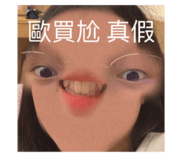 507497392