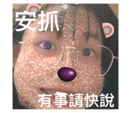 507497393