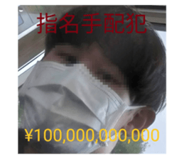 507572733