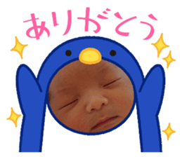 507576683