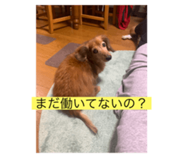 507599787