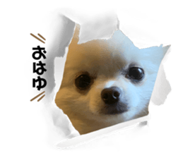 507604581