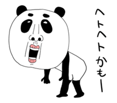 507605073