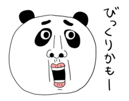 507605074