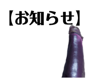 507701463