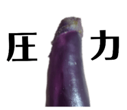 507701467