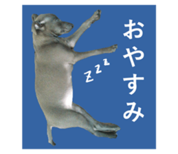 507729831