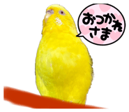 507730872