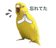 507730873