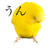 507730884
