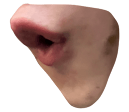 507737523