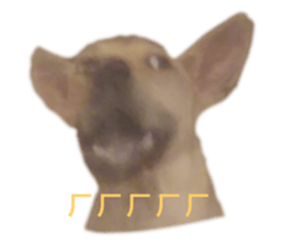 507759027