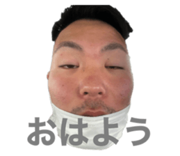507791654