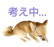 507810430
