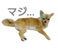 507810440