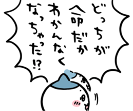 507991516