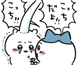 507991517