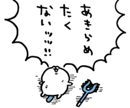 507991530