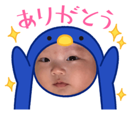 508025411