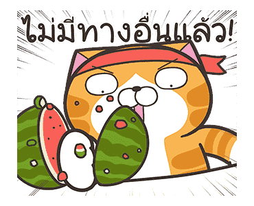 เหมียวซ่า : ดิ้นดิ้นดิ้น รูปที่ 3