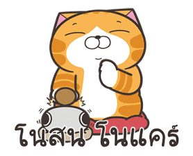 508031387