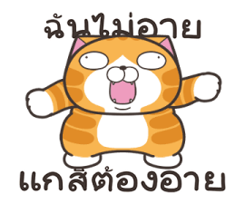 508031394