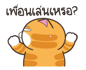 508031396