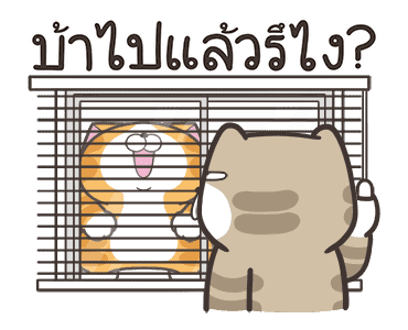 เหมียวซ่า : ดิ้นดิ้นดิ้น รูปที่ 19