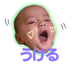 508035293