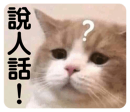 508047196