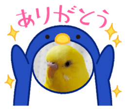 508047527