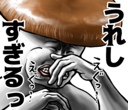 508049419