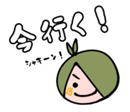 508050986