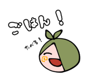 508050993