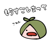 508050996