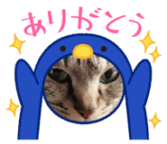 508056830