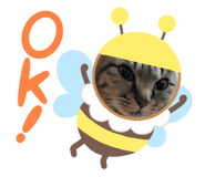 508056836
