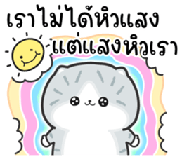 508069244