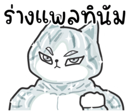 508069252