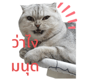 508090422