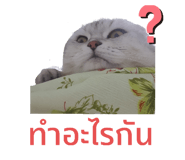 508090424