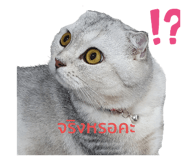 508090430