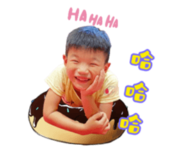 508127238