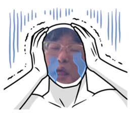 508157954