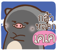 508207033