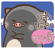 508207913
