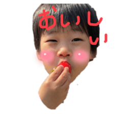 508252832