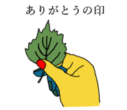 508253791