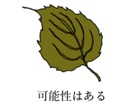 508253795
