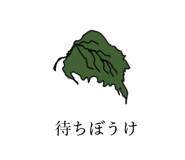 508253804